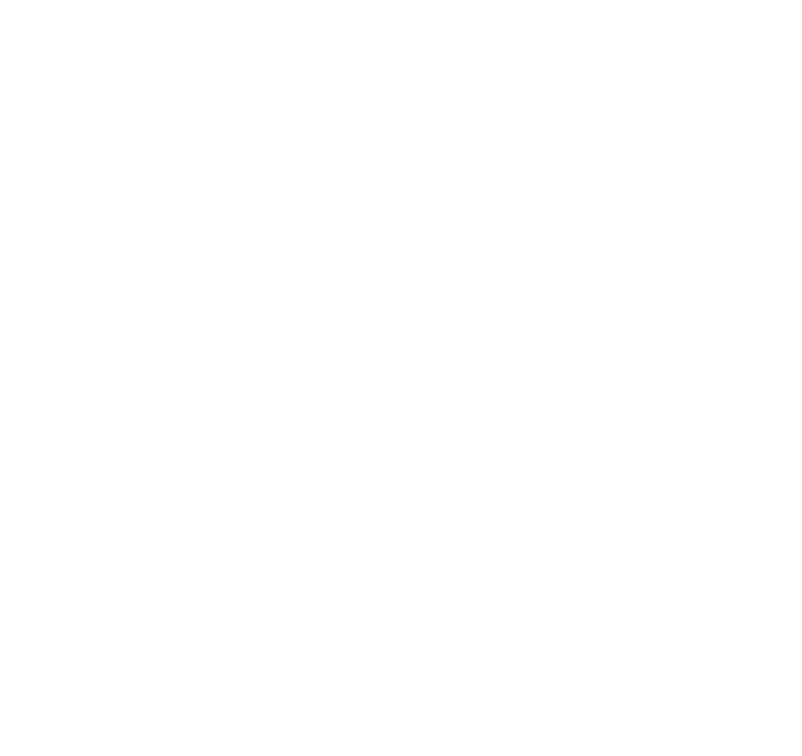 MIRAI Steel Structure Design
